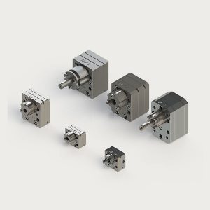 Staple Fibre